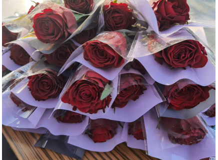 連心物業(yè)駐文化館項目開(kāi)展“三八婦女節”送鮮花活動(dòng)