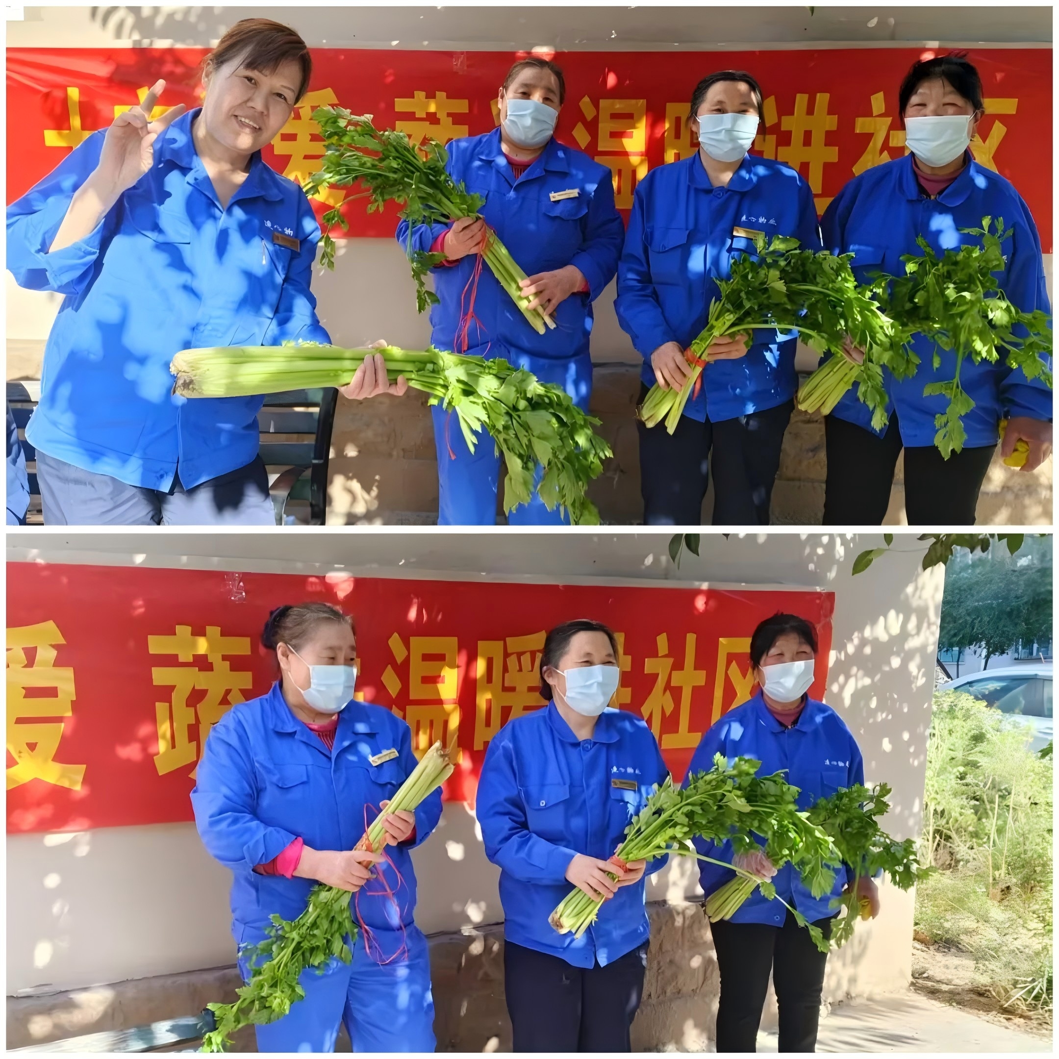 連心物業(yè)駐山東電力中心醫院項目部與社區聯(lián)辦“蔬菜送溫暖”活動(dòng)